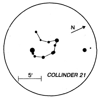 COLLINDER 21