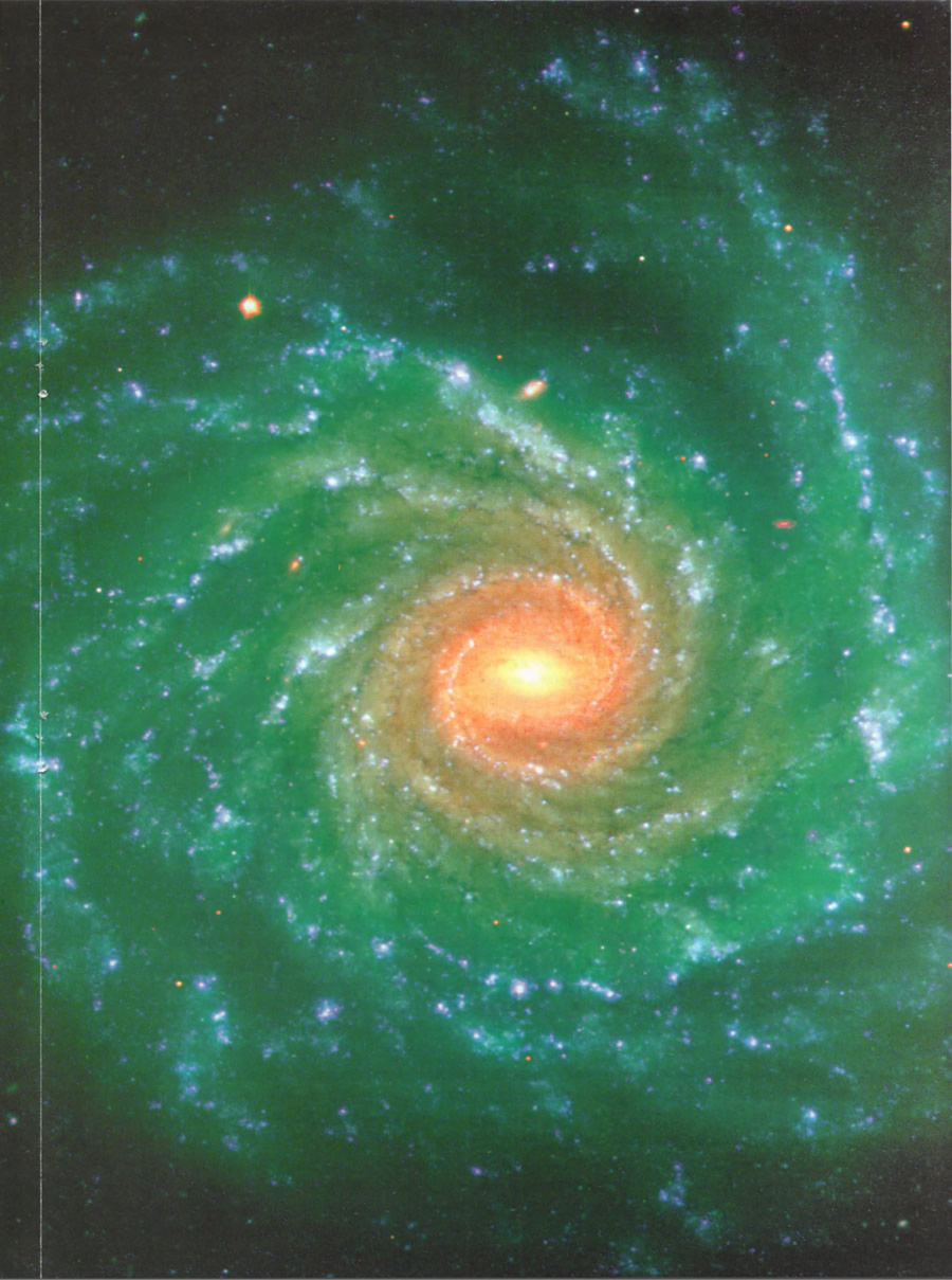 Фото галактики NGC 1232