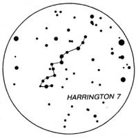 HARRINGTON 7