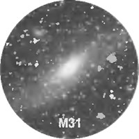 M31