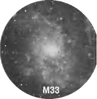 M33