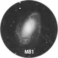 M81