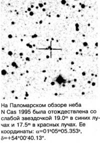 N Cas 1995