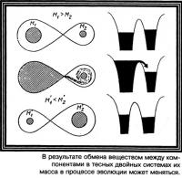 Обмен веществом