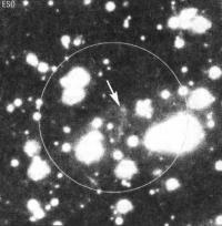 Рентгеновский источник RX J1856.5-3754