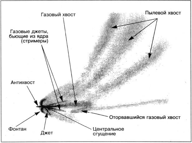 Схематическое изображение строения кометы
