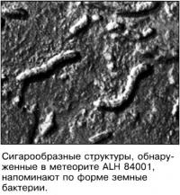 Сигарообразные структуры
