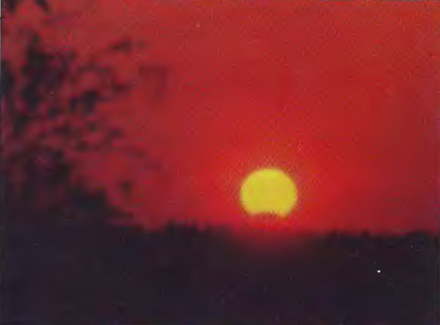 Солнечное затмение 10 мая 1994 г.