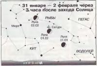 31 января — 2 февраля через 3 часа после захода Солнца