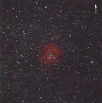 Диффузная туманность Розетка (NGC 2244)