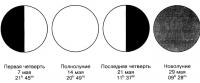 Фазы Луны