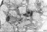 Фото метеорита под микроскопом