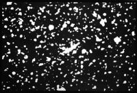 Комета Барнарда