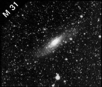 M31