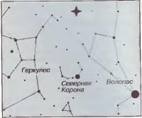 Область неба, где произошел гамма-всплеск