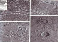 Поверхность Ганимеда несет на себе следы активной вулканической и тектонической деятельности