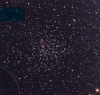 Рассеянное ввездное скопление M46