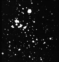 Рассеянное звездное скопление NGC 6633