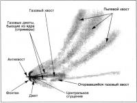 Схематическое изображение строения кометы