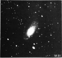 Скопление M81