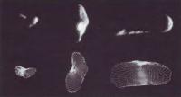 Трехмерная компьютерная модель астероида Эрос