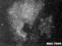 Туманность NGC 7000