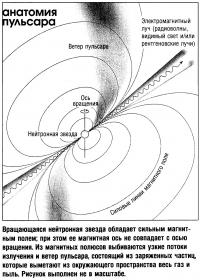 Вращающаяся нейтронная звезда обладает сильным магнитным полем